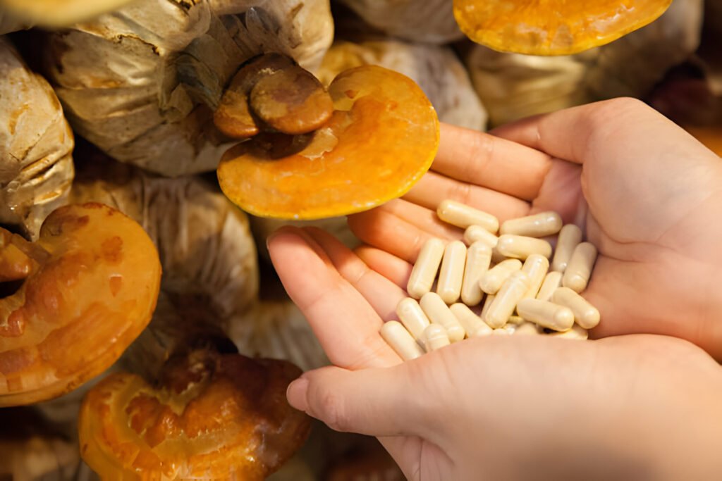 benefits of Reishi Mushroom