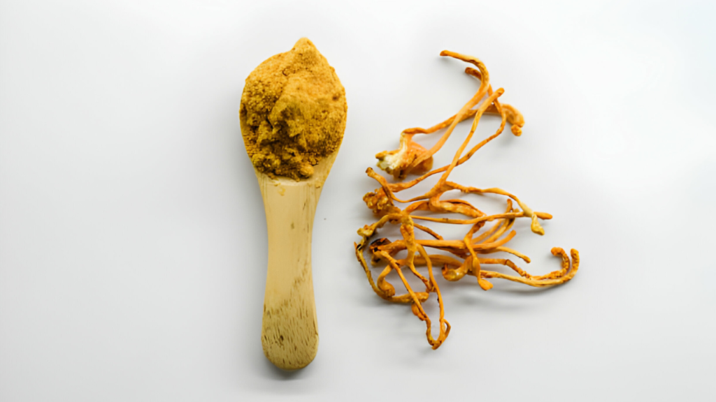 Cordyceps Mushroom